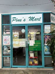 Pine Grove (D21), Condominium #497536801